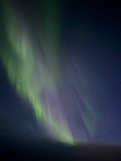       Vibrant green and purple northern lights sweeping across a star-filled night sky.
  