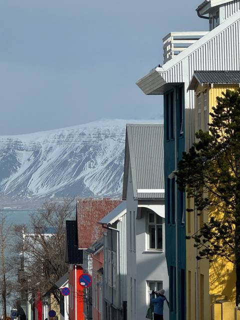       Colorful Reykjavik houses in the foreground with a snow-covered mountain rising beyond the bay.
  