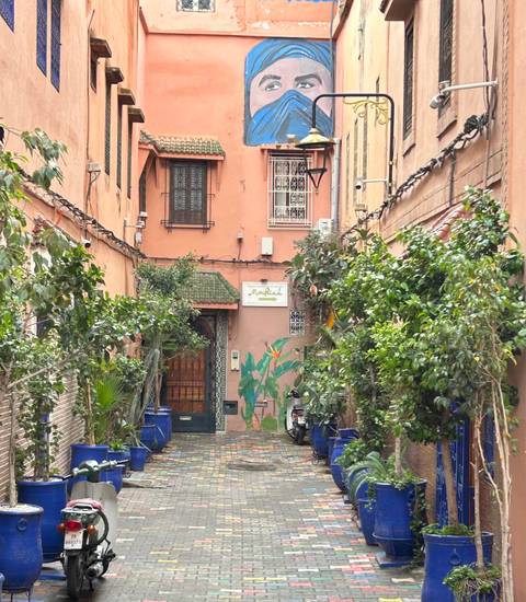       Quiet narrow alleyway with peach walls, potted plants and a decorative Moroccan doorway.
  