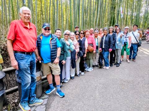       Tourists lined up along path in lush bamboo forest in Kyoto
  