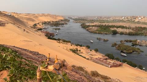       Panoramic view of the Nile River winding past sandy dunes and green islands near Aswan
  