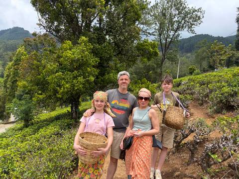       Family holding woven baskets stands among lush tea bushes on a plantation hillside
  