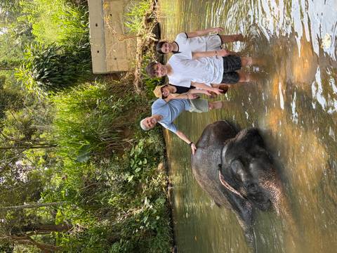       Family stands knee-deep in a river washing a reclining elephant surrounded by jungle greenery
  