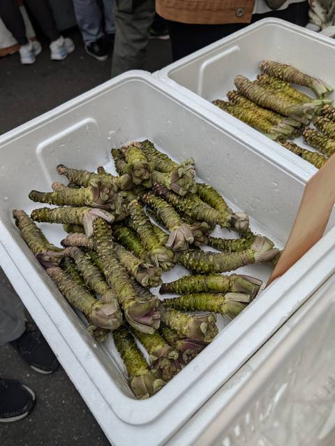       Fresh wasabi rhizomes stacked in a foam crate at a market stall
  