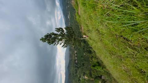      Hiker on grassy hillside overlooking forested valley and distant hills under moody clouds.
  