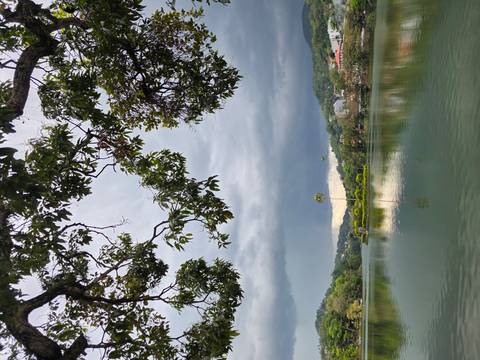       Lake scene framed by tree branches with looming dark clouds and lone palm island.
  