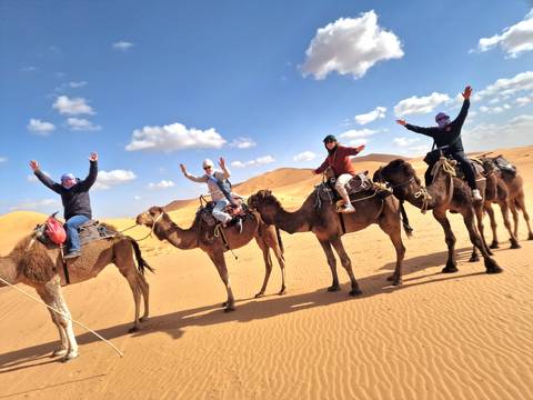       Travelers riding camels in single file across golden Sahara dunes with arms raised in celebration
  