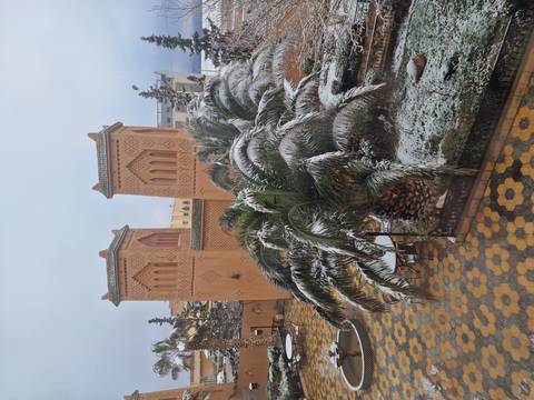       Snow-dusted palm tree and adobe towers of a kasbah courtyard with patterned tiles after snowfall
  