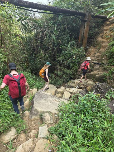       Three hikers with backpacks carefully crossing rocky terrain surrounded by dense jungle vegetation
  