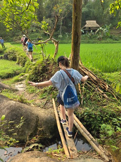       Traveler balancing on a narrow earthen ridge beside vibrant rice fields and stacked branches
  