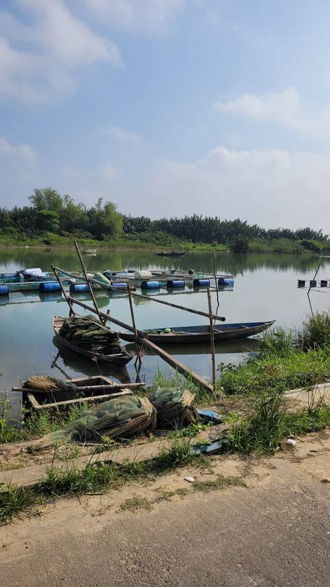       Tranquil scene of traditional wooden boats and floating fish cages on a calm river flanked by palms
  