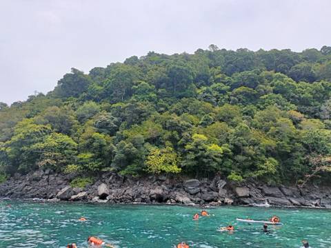       A densely forested hillside rises above a rocky shoreline and emerald sea under hazy skies.
  