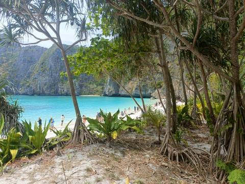       A hidden tropical beach with tourists on white sand framed by lush trees and turquoise lagoon.
  