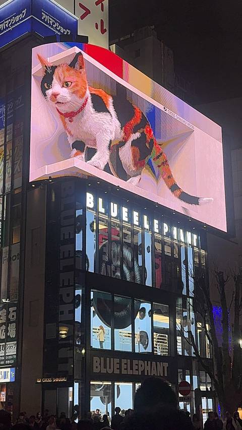       Large digital billboard featuring a 3D animated cat above the bustling streets of Tokyo.
  