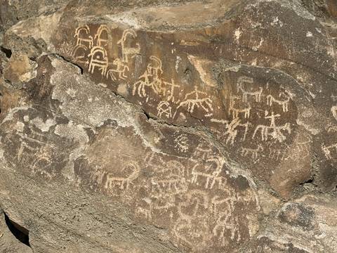       Ancient petroglyphs etched into brown rock showing animals and riders
  