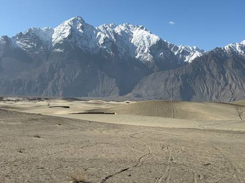       Sweeping view of golden sand dunes with dramatic snow-capped Karakoram peaks towering behind under a clear blue sky.
  