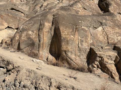       Sun-lit cliff face covered with ancient petroglyphs etched into the weathered brown rock.
  