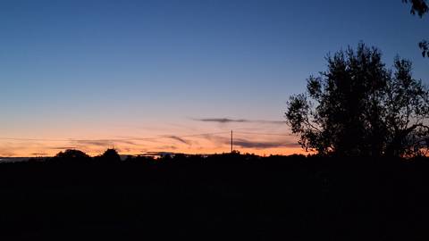       A vivid orange and blue sunset silhouettes a lone tree line.
  