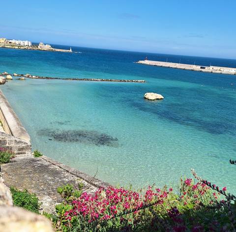       Crystal-clear turquoise water fills a small harbor with a stone breakwater.
  