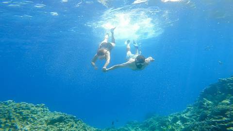       Two snorkelers holding hands while swimming above vibrant coral reefs in crystal-clear blue water
  