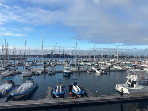       Busy marina packed with sailboats and yachts against a backdrop of cranes and distant ships
  