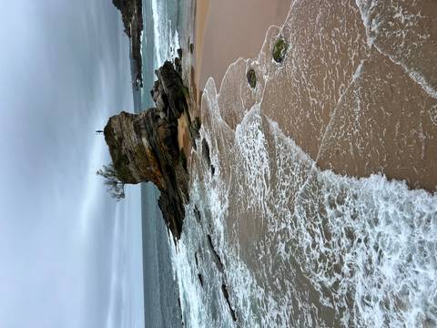       Rocky sea stack topped with small tree off a sandy shore with foamy waves under cloudy sky.
  