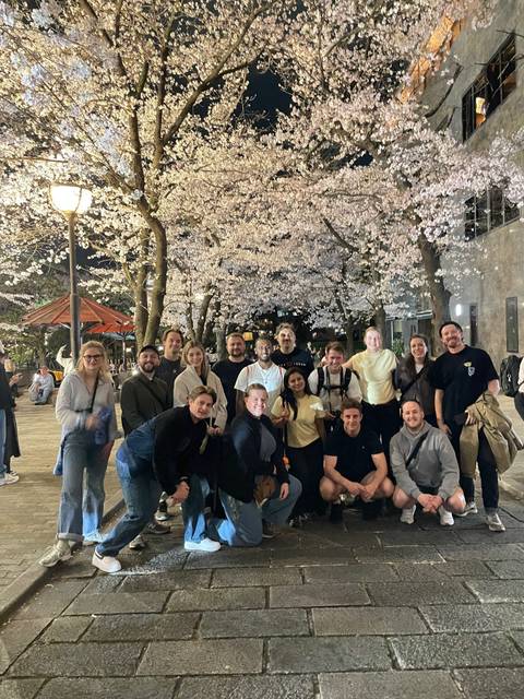      Large group of travellers gathered beneath illuminated night-time cherry blossoms in a city park.
  