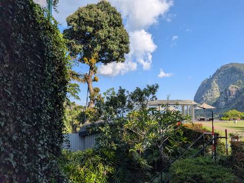       Lush garden with tall tree, gazebo and mountain cliff under a bright blue sky.
  