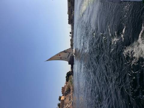       Single felucca with tall lateen sail glides across calm Nile waters
  
