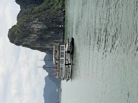      White cruise boat passes a towering limestone cliff in Ha Long Bay's emerald waters.
  
