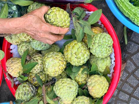       Vendor hand reaches for green custard apples piled in a red basket at a market.
  