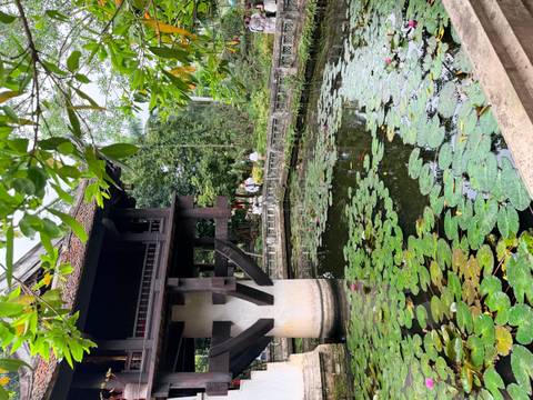       View of the One Pillar Pagoda rising above a lotus-filled pond bordered by greenery.
  