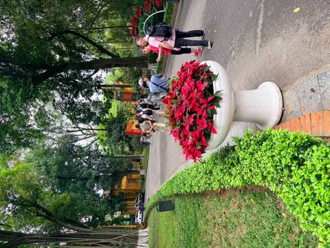      Tourists walk along a shady roadway in a park, passing a planter filled with red flowers.
  