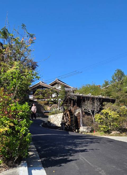       Traditional Japanese village street lined with gardens and wooden houses.
  