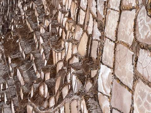       Patterned terraced salt pans with earthy browns and white mineral crust at Maras Salineras.
  