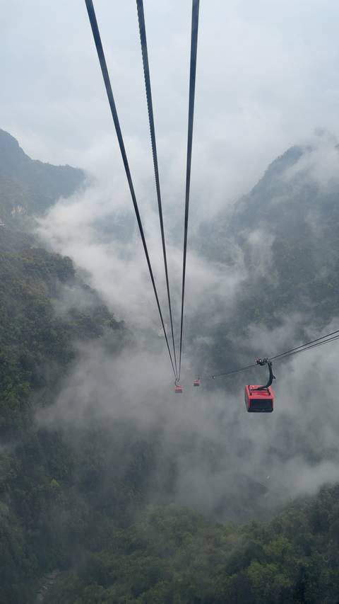       Red cable cars ascend through thick mist above a forested canyon.
  