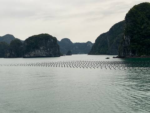       Calm emerald bay dotted with limestone karsts and rows of floating buoys under grey sky.
  