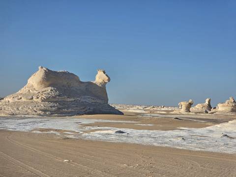       Striking white chalk formations resemble animals in Egypt's White Desert.
  