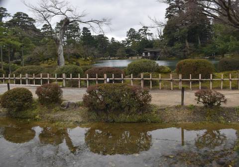       Serene Japanese garden with trimmed shrubs, bamboo fence and reflective pond under grey skies.
  