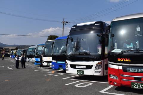       Row of colourful tour buses parked in a lot with two attendants conversing in front.
  