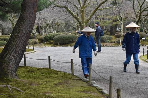       Garden workers in blue coats and straw hats tend gravel paths in a mossy Japanese garden.
  