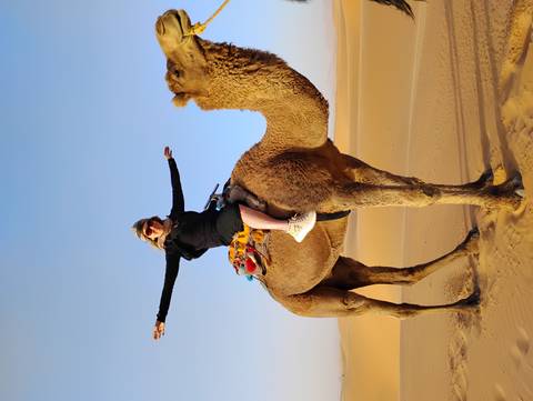       Traveler joyfully balanced on a camel amid rolling Sahara dunes.
  