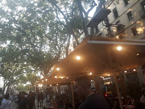       Evening street scene with hanging bulbs and leafy trees above an outdoor cafe.
  