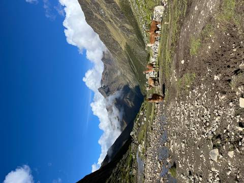       Llamas roaming alpine meadow beneath bright blue Andean sky with clouds.
  