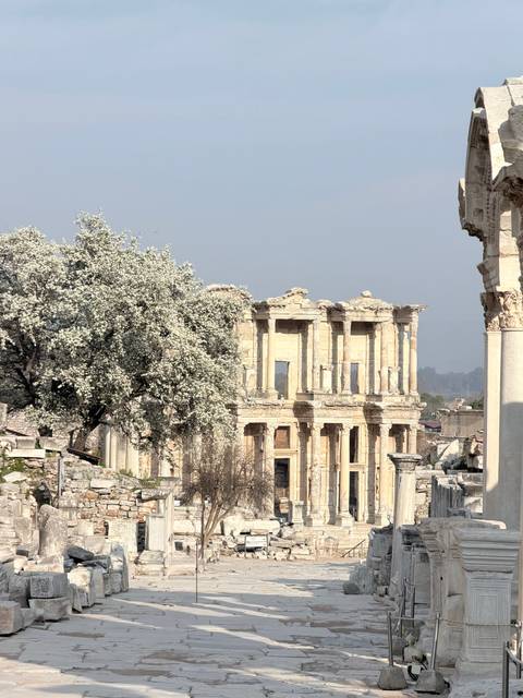       The facade of the Library of Celsus framed by a blooming tree on a clear day.
  