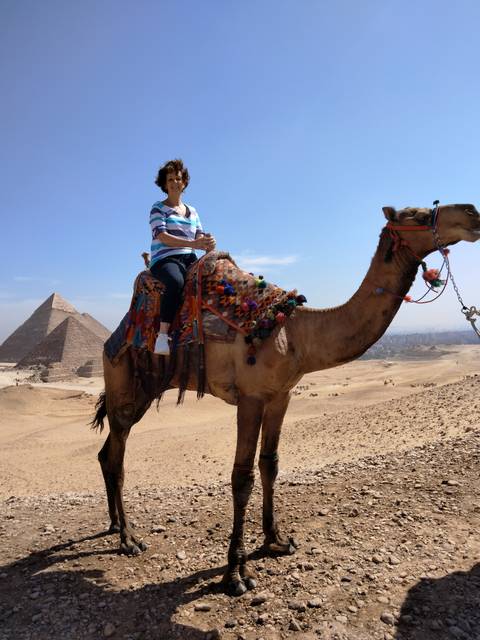       Woman sitting astride a decorated camel in the desert with the Great Pyramid of Giza rising in the background
  