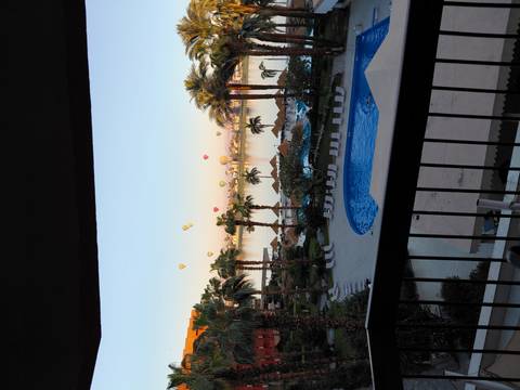      Balcony view of a resort pool, palms and the Nile River at dawn with hot-air balloons floating in the sky
  