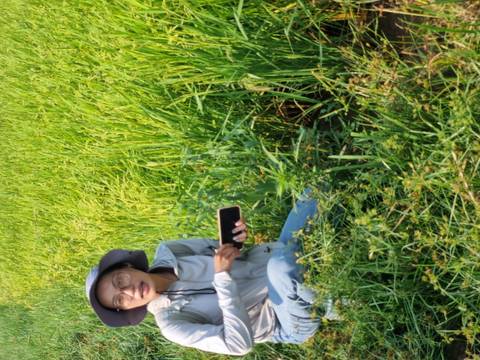       A guide kneels in a lush rice paddy holding a smartphone while explaining the crop.
  