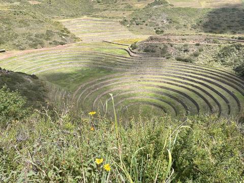       Circular agricultural terraces wind concentrically through a green valley at Moray viewed from above.
  