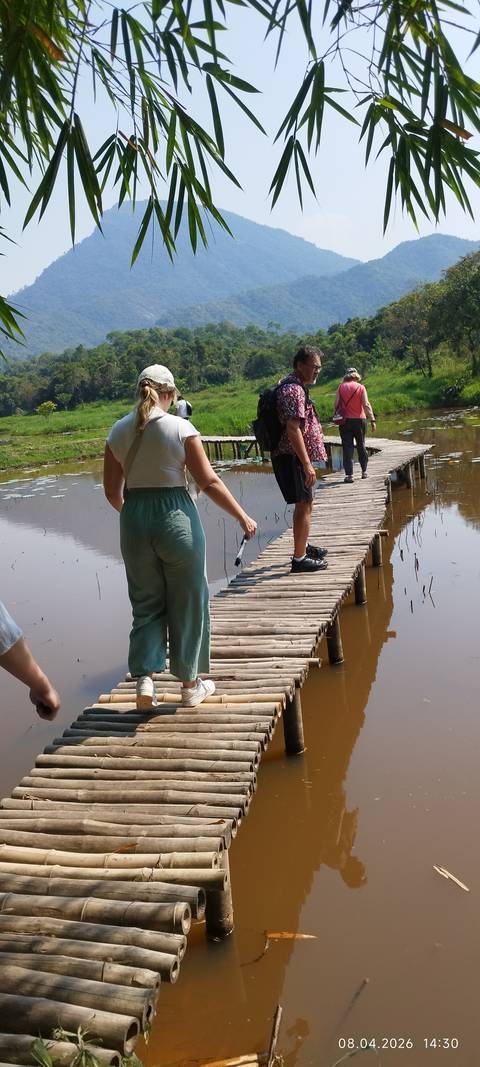       Travellers walking across a narrow wooden footbridge over a lotus pond
  